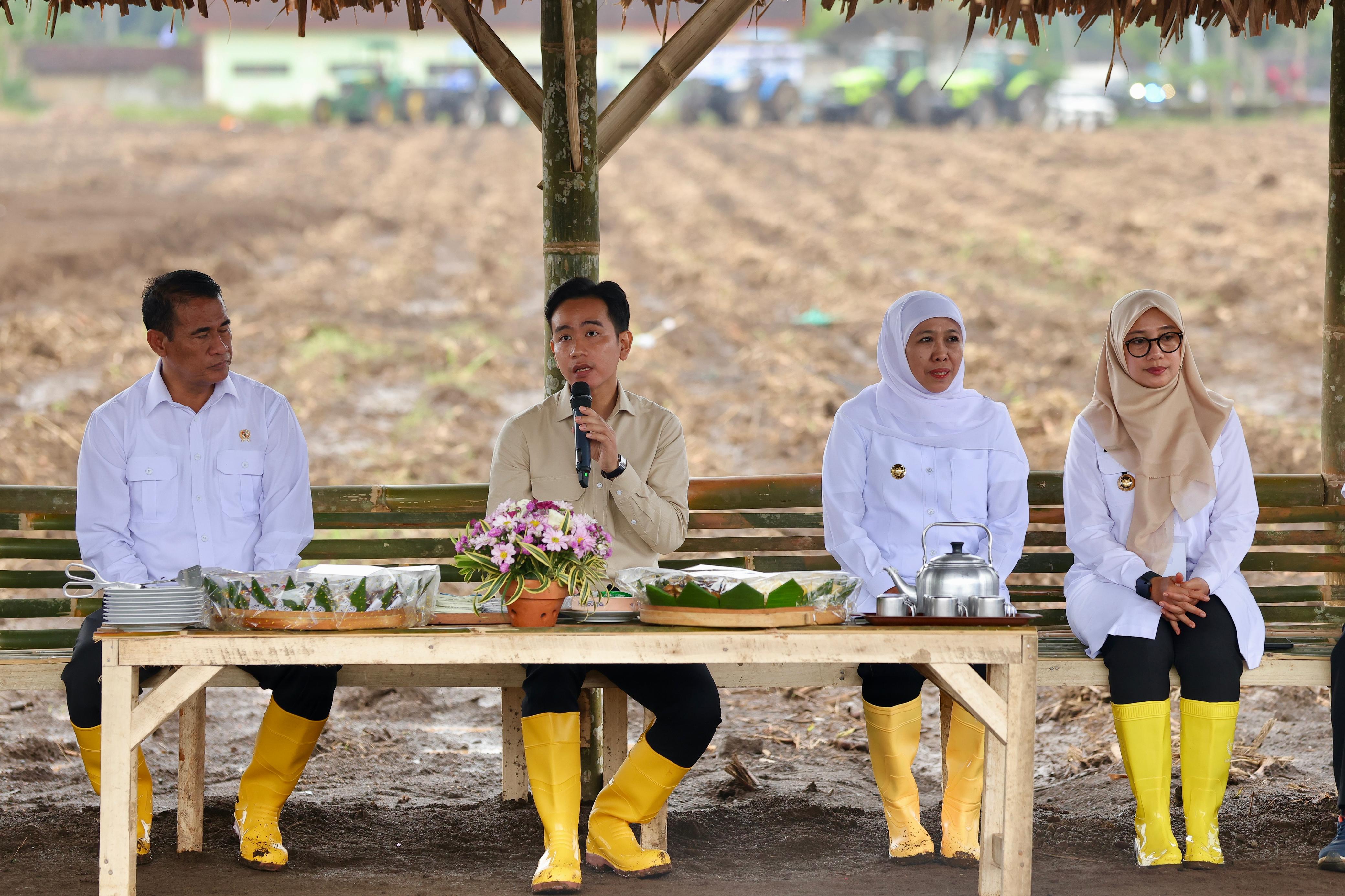 Wapres Gibran Puji Kuliner, Pariwisata, dan Kebersihan Kabupaten Banyuwangi